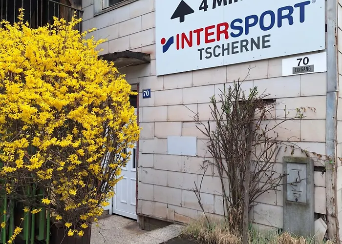 홈스테이 Haus Hoogendam