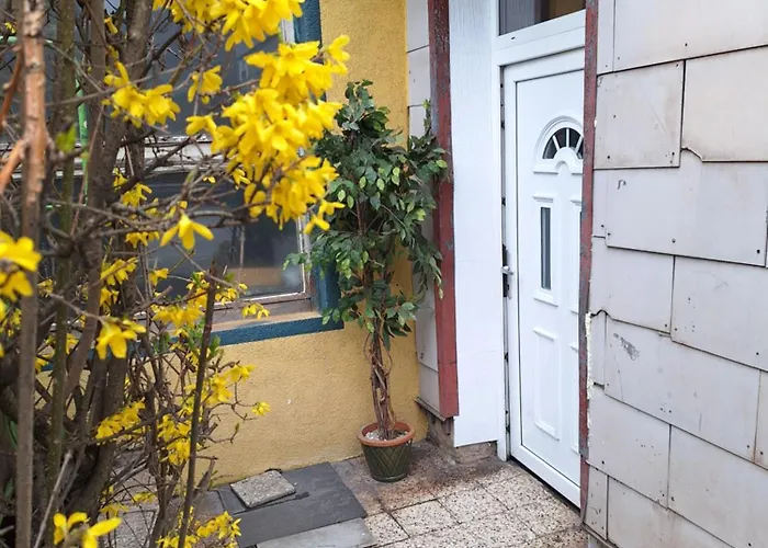 홈스테이 Haus Hoogendam *